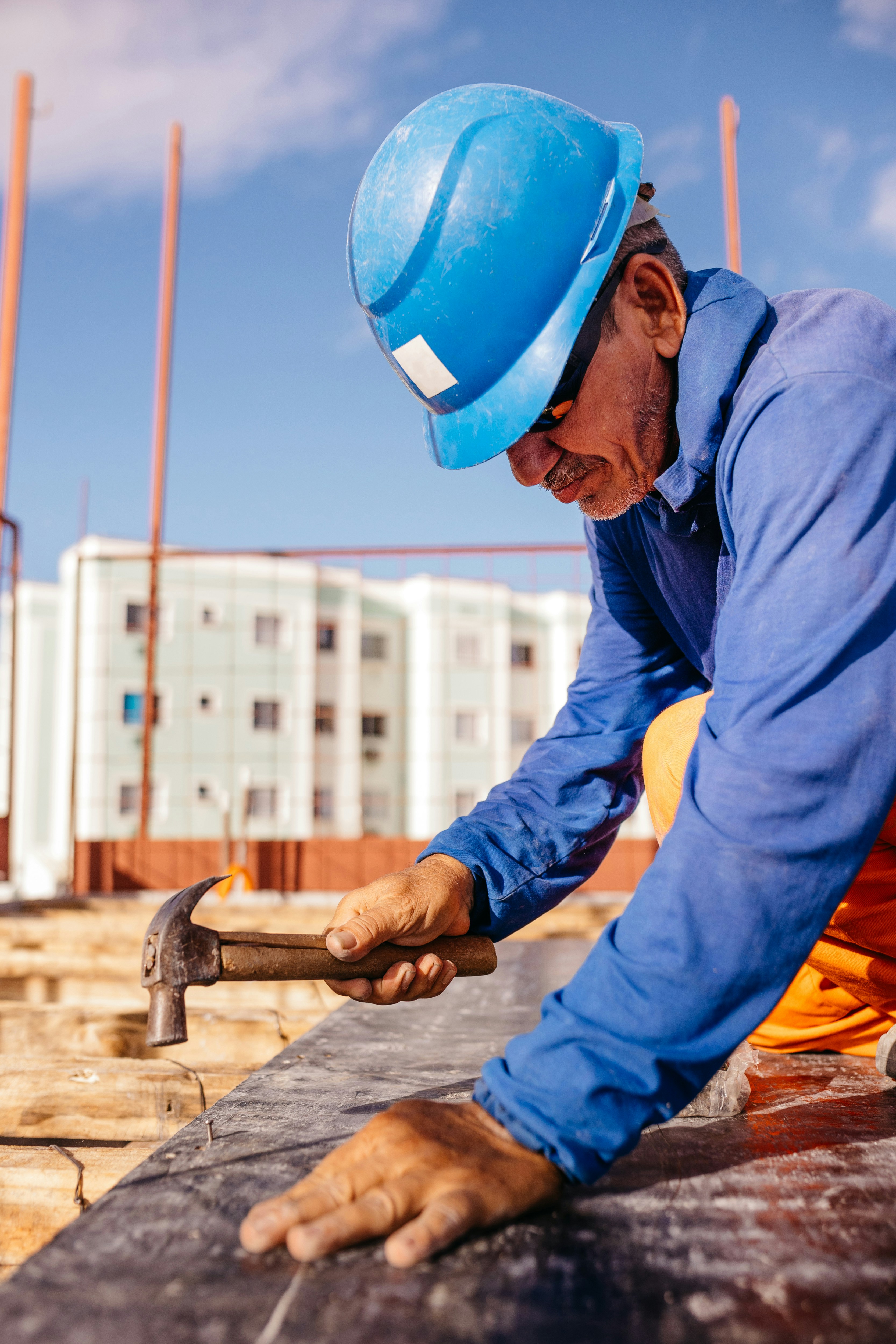 Démoussage et nettoyage