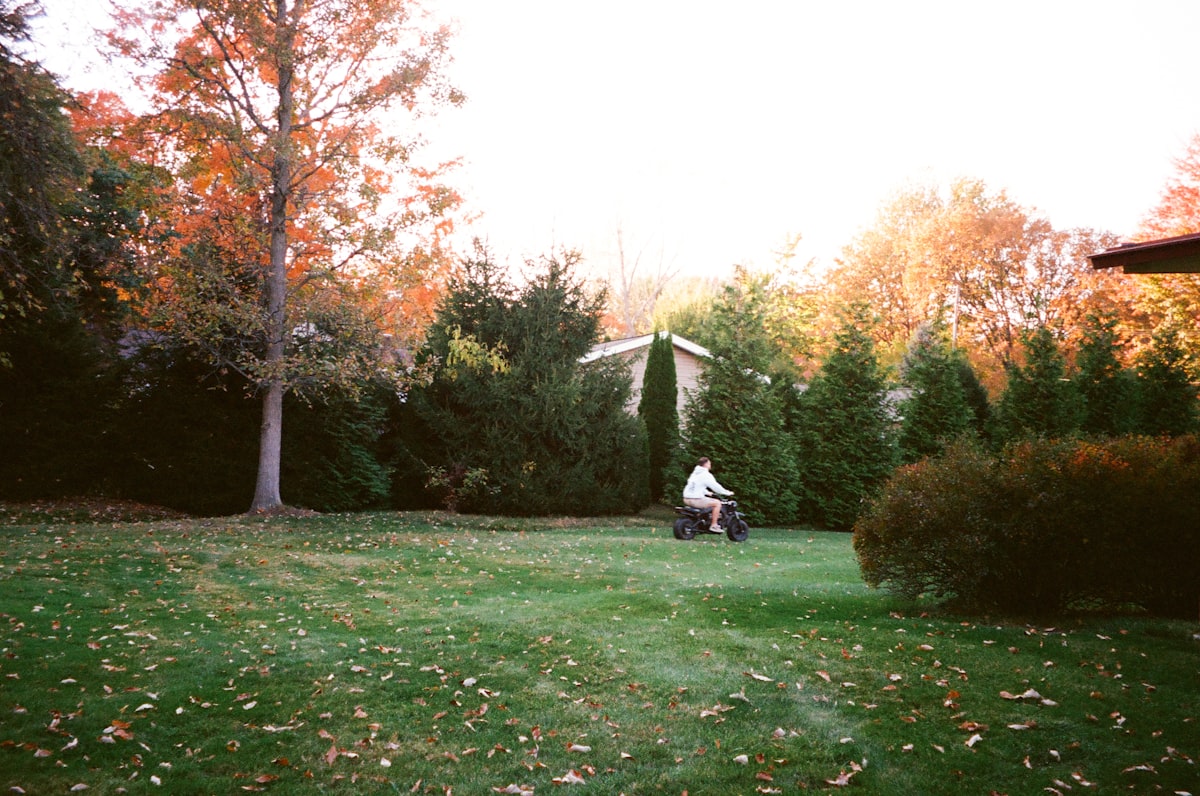 Débroussaillage terrain