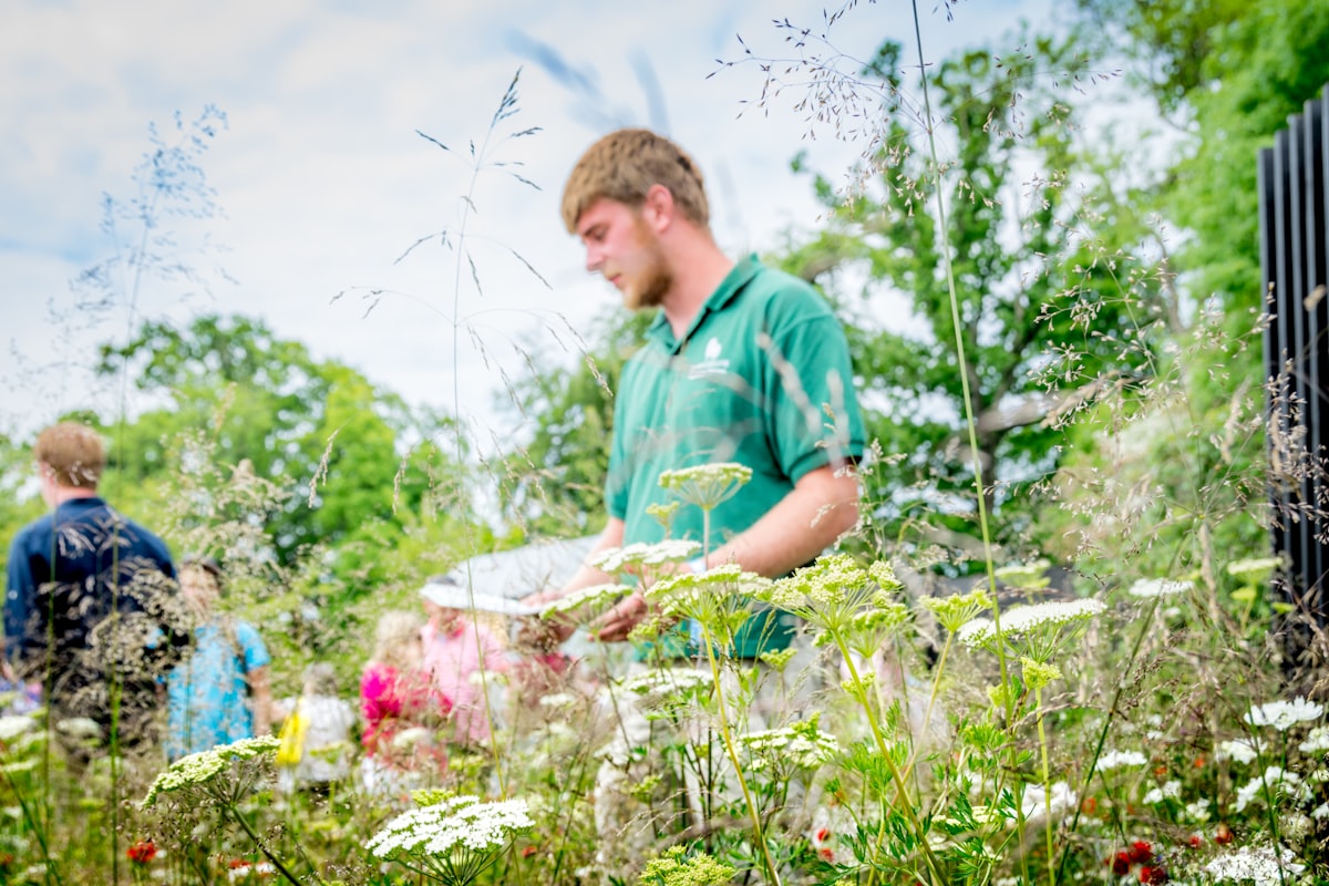 Rénovation complète d'espaces verts